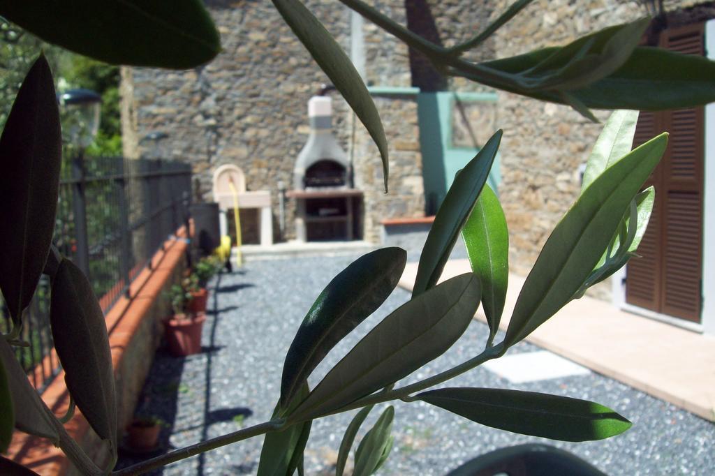 Il Nido Delle Rondini Villa Testico Exterior photo