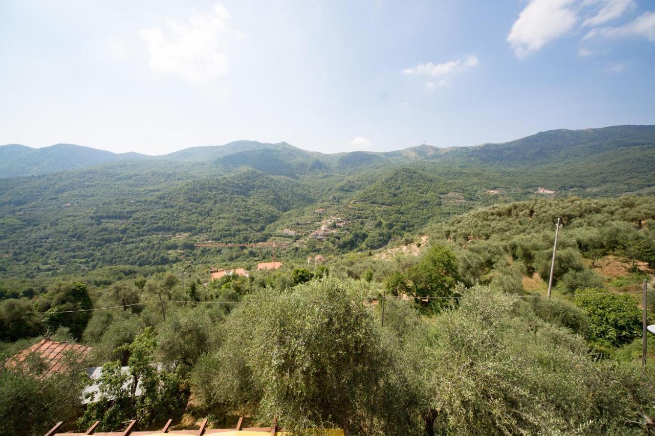 Il Nido Delle Rondini Villa Testico Exterior photo